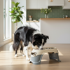 Skatrs Elevated Feeder with Twin Stainless Steel Bowls for Dogs Both-Bowls & Feeders Skatrs 400mL+400mL