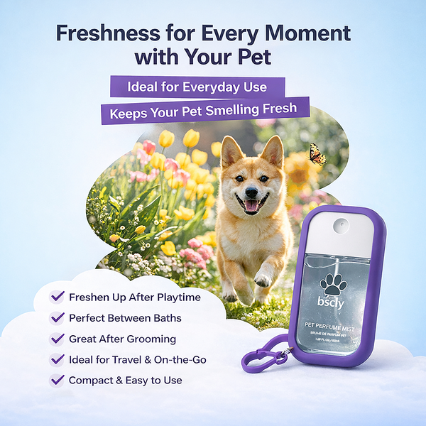 Bscly Fresh Mint Perfume Mist Portable Grooming Spray with Travel Silicone Case and Keychain