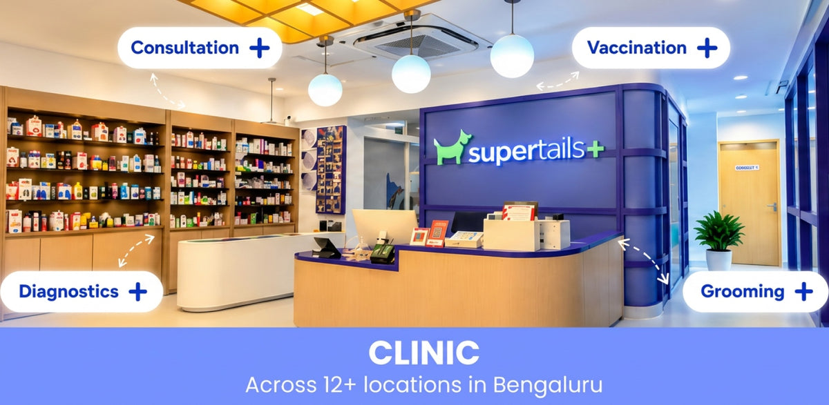 Clinic - across 5+ locations in Bengaluru