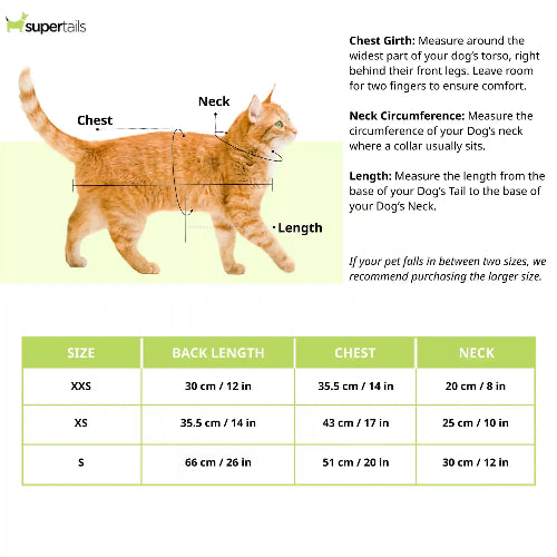 Pawgypets Multi Heart Sando for Cats (Multi Colour) Cats-Clothing & Accessories Pawgypets Dropship