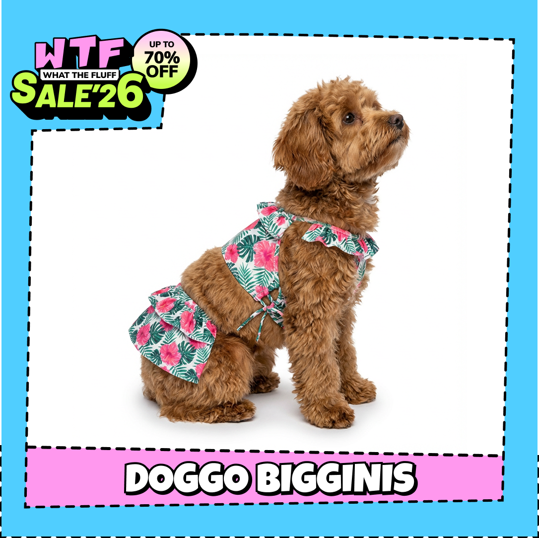WTF Pet Bigginis For Dogs (White/Pink/Green) Dogs-Clothing & Accessories Supertails S