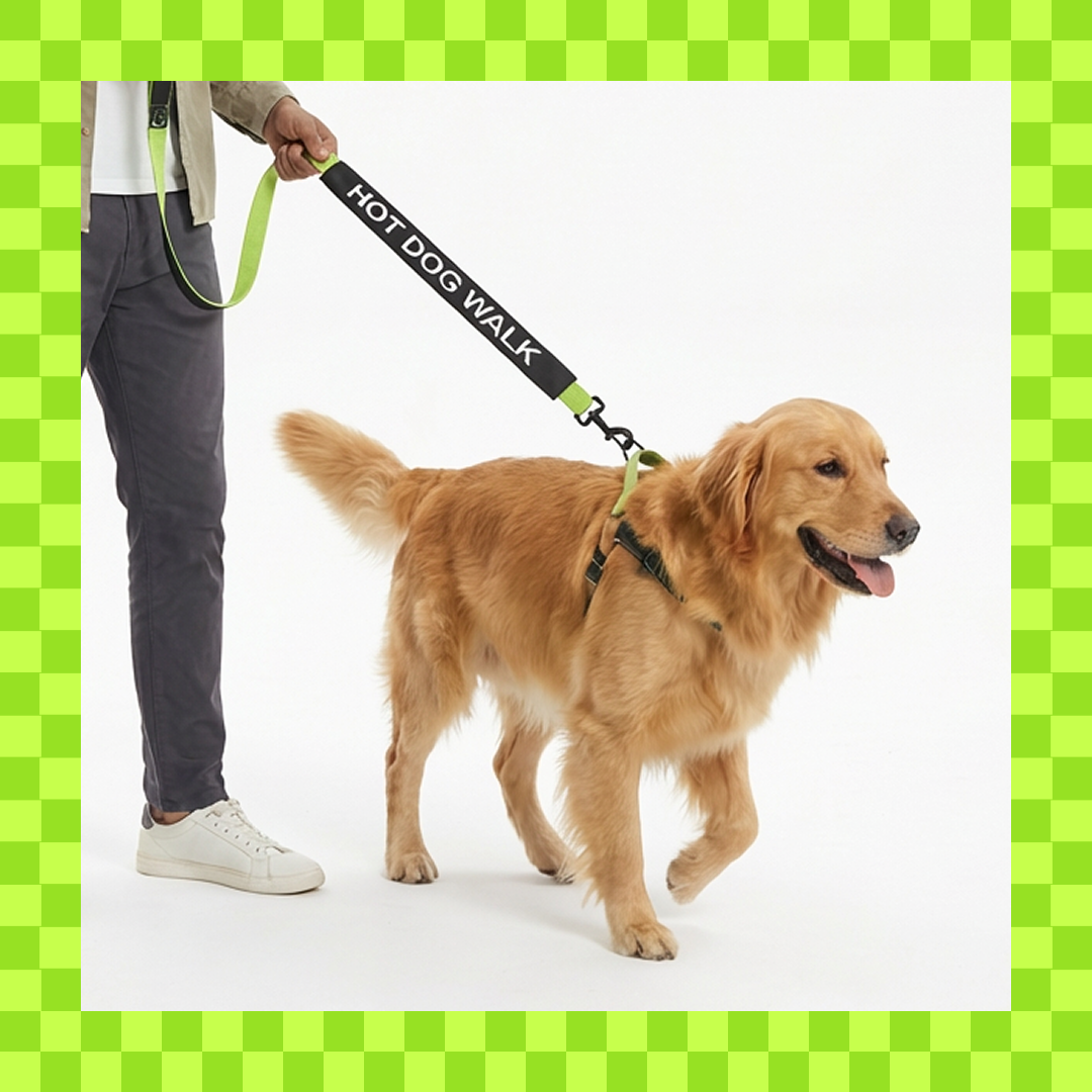 WTF Funny Leash Sleeves for Dogs and Cats (Black) Both-Collar, Leashes, harnesses Supertails