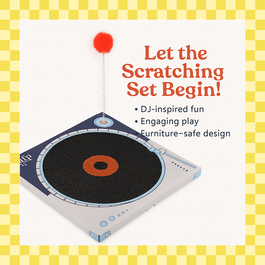 Talking Dog Club Vynil Scratcher Toy for Cats (Black) Cats-Toys Talking Dog Club Dropship