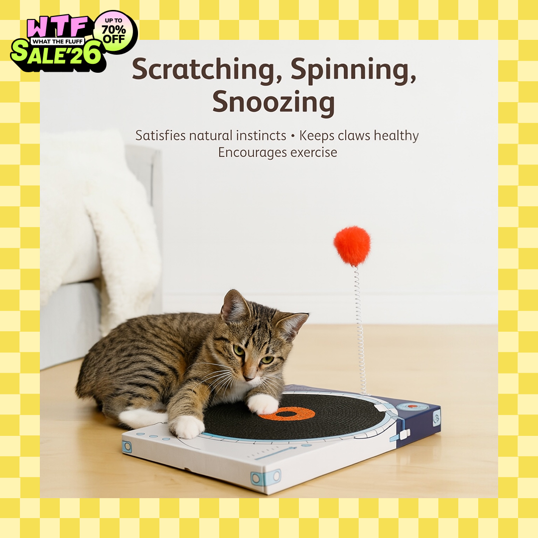 Talking Dog Club Vynil Scratcher Toy for Cats (Black) Cats-Toys Talking Dog Club Dropship 35.5cm