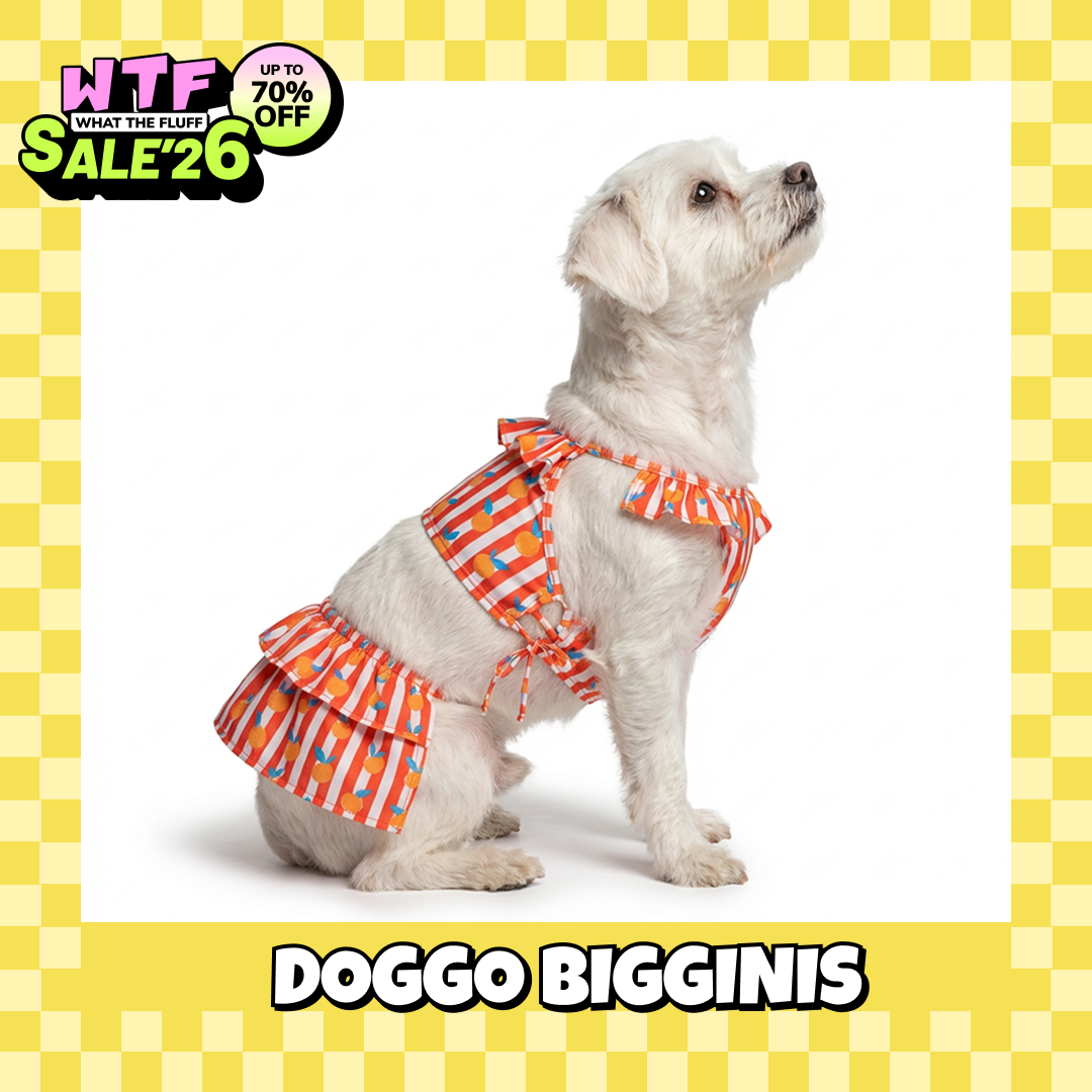 WTF Pet Bigginis For Dogs (Pink/Orange/Blue) Dog-Clothing & Accessories Supertails M