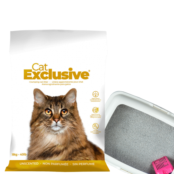 Intersand Cat&