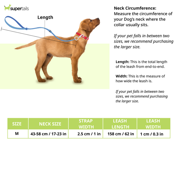 Chullbull Nylon Choke Collar and Leash for Dogs (Black)