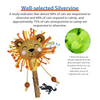 GiGwi Catch and Scratch Eco Line Lion Toy for Cats Cats-Toys GiGwi