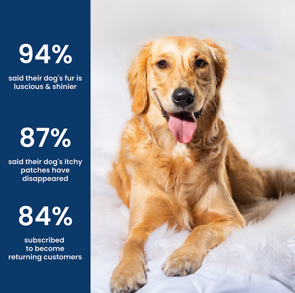 Absolut Pet Probiotics Gut & Hip, Joint Care & Skin & Coat with Collagen Health Dog Supplement Combo