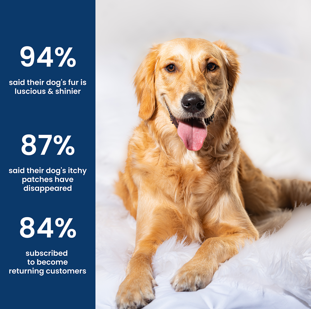 Absolut Pet Probiotics Gut Skin Coat Support Collagen and Biotin Health Dog Supplement Dogs-Health & Wellness Absolut Pet