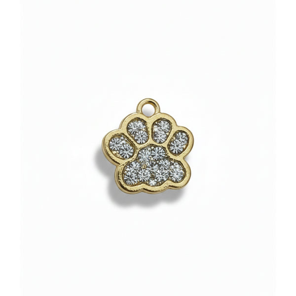 Skatrs Charms for Cats & Dogs