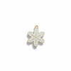 Skatrs Charms for Cats & Dogs (1pcs Assorted) Rewards Both-Toys Skatrs