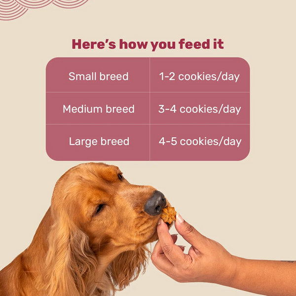 HUFT Gluten Free Goat Milk & Chicken Liver Cookie Dog Treats