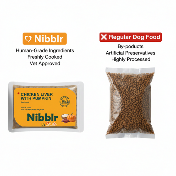 Nibblr By Nootie Wholesome Chicken Liver with Pumpkin Ready to Eat Meal Dog Wet Food