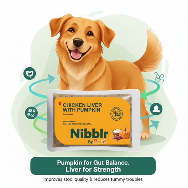Nibblr By Nootie Wholesome Chicken Liver with Pumpkin Ready to Eat Meal Dog Wet Food