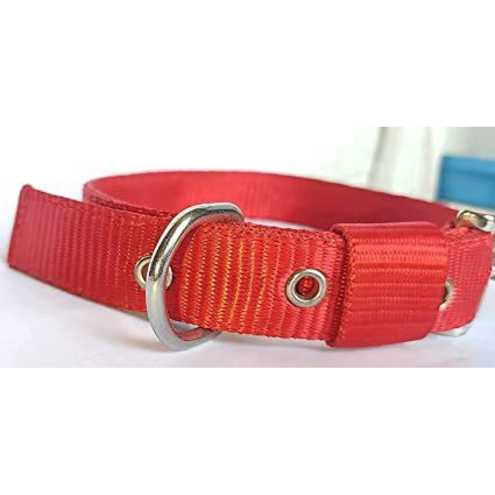Chullbull Nylon Collar and Heavy Chain Leash for Dogs (Red) Dogs-Collar, Leashes, harnesses Chullbull Dropship
