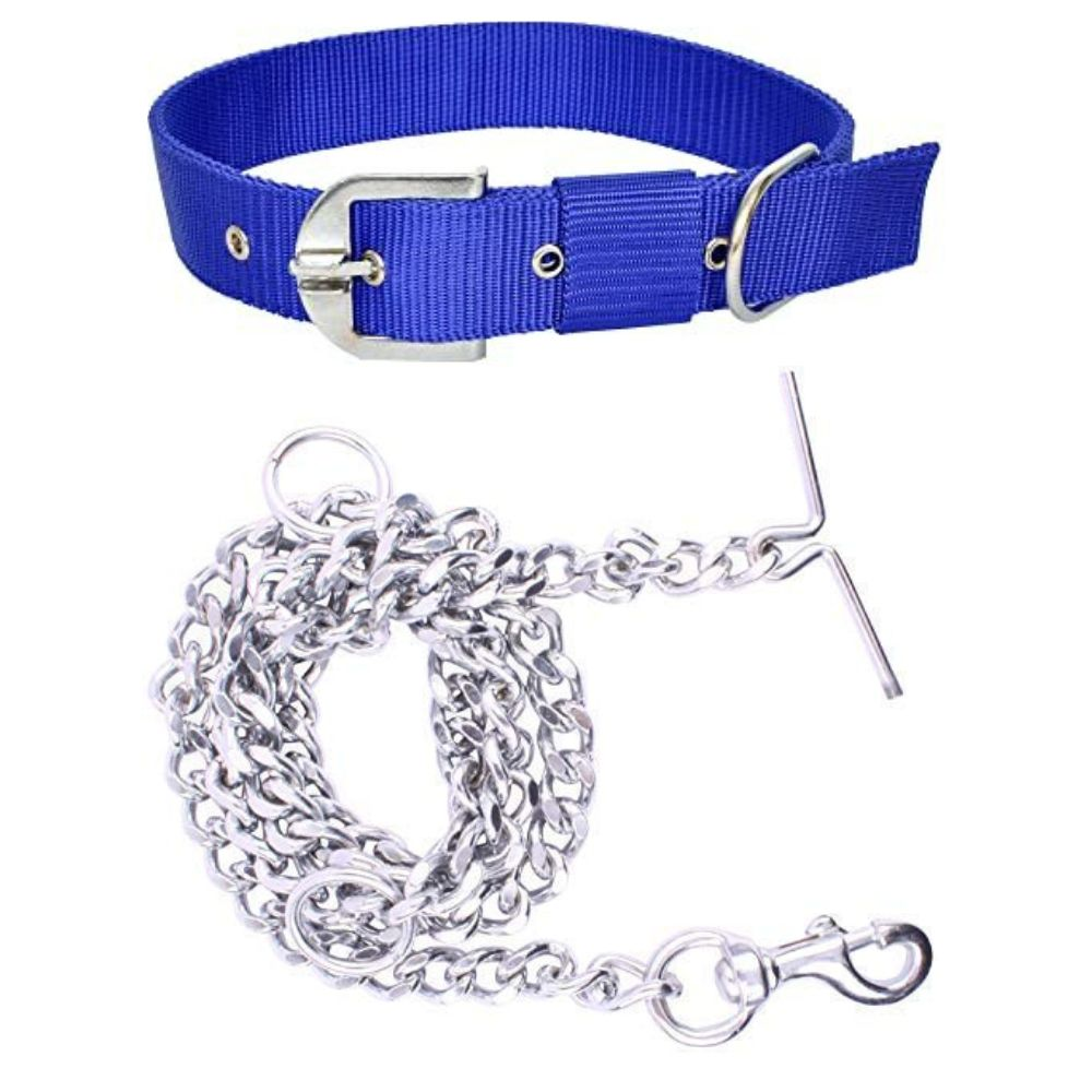 Chullbull Nylon Collar and Heavy Chain Leash for Dogs (Blue) Dogs-Collar, Leashes, harnesses Chullbull Dropship M
