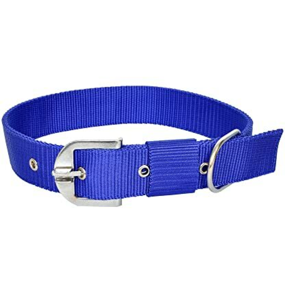 Chullbull Nylon Collar and Heavy Chain Leash for Dogs (Blue) Dogs-Collar, Leashes, harnesses Chullbull Dropship
