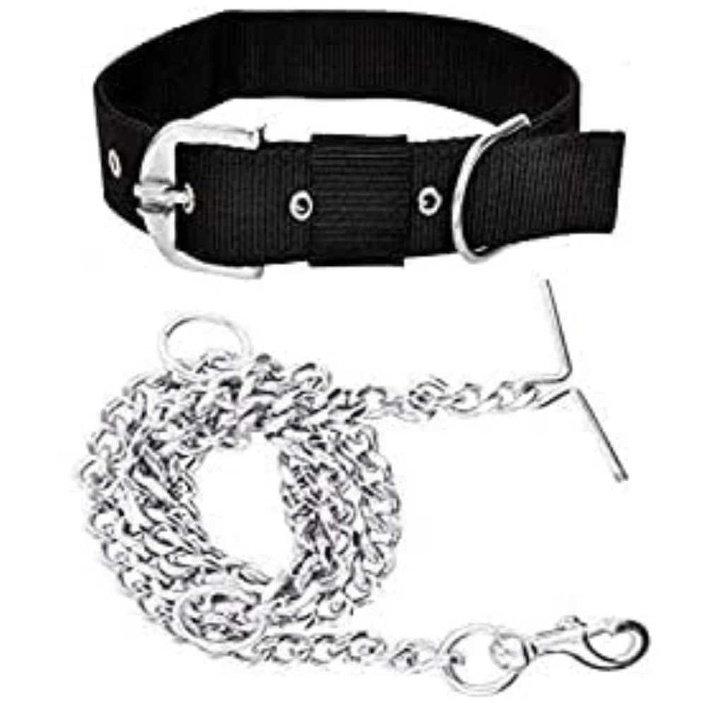 Chullbull Nylon Collar and Heavy Chain Leash for Dogs (Black) Dogs-Collar, Leashes, harnesses Chullbull Dropship L