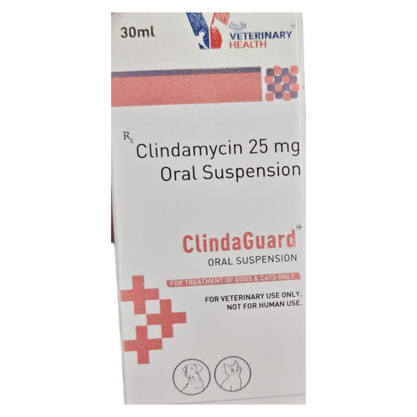 Drools ClindaGuard 25mg Oral Suspension (Clindamycin) for Dogs and Cats