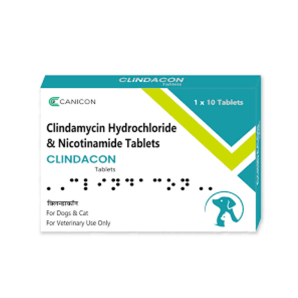 Wellcon Clindacon Tablet (Clindamycin) for Dogs and Cats