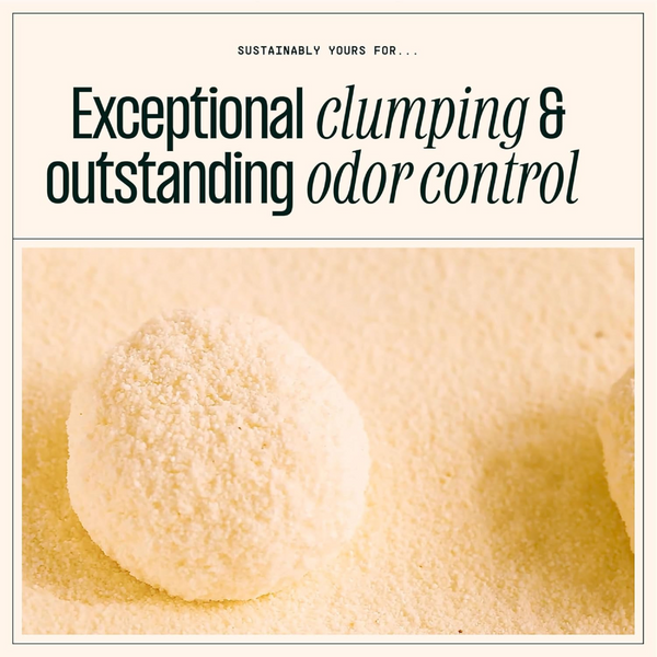 Sustainably Yours Multi Cat Unscented Large Grains Cat Litter