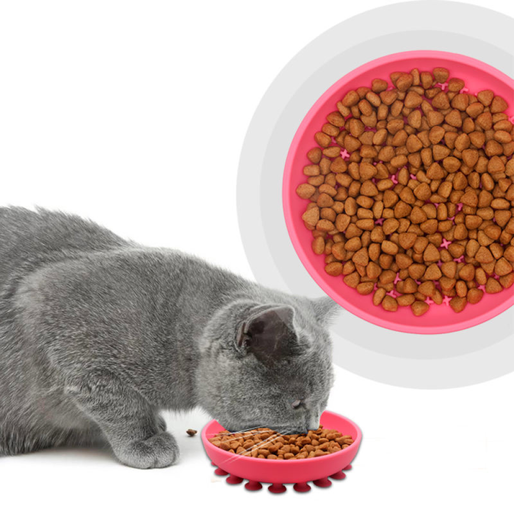 Talking Dog Club Lickables Licking Bowls for Dogs and Cats (Pink)