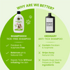 FurBall Story Shampooch Tick Free Shampoo for Dogs Dogs-Grooming Supplies Furball Story