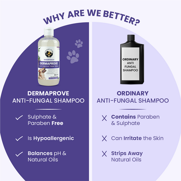 FurBall Story Shampooch Dermaprove Shampoo for Dogs