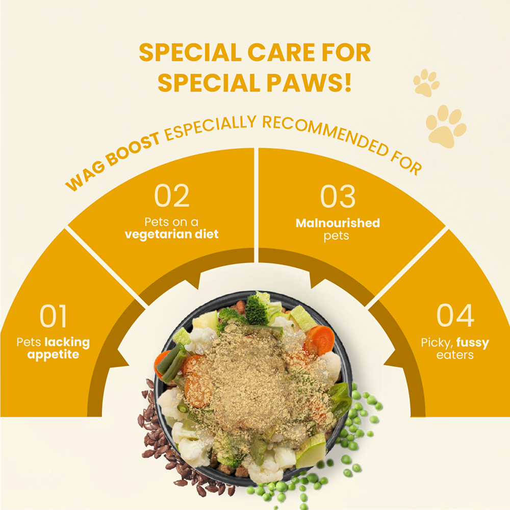 FurBall Story Wag Boost Food Topper for Dogs and Cats Dogs- Dry Food Furball Story