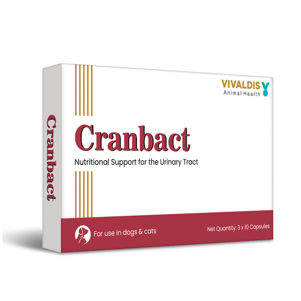 Vivaldis Cranbact Capsules for Dogs and Cats (pack of 30 capsules)
