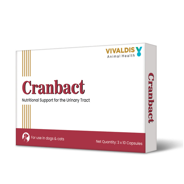 Vivaldis Cranbact Capsules for Dogs and Cats (pack of 30 capsules)