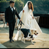 The Papaw Cartel Dapper Styled Button Down Tuxedo for Dogs (Black) Dogs-Clothing & Accessories The Papaw Cartel Dropship