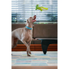 Red Dingo Durables Crocodile Fetch Toy For Dogs (Green) Dogs-Toys Red Dingo Dropship