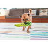 Red Dingo Durables Crocodile Fetch Toy For Dogs (Green) Dogs-Toys Red Dingo Dropship
