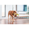 Red Dingo Durables Crocodile Fetch Toy For Dogs (Green) Dogs-Toys Red Dingo Dropship
