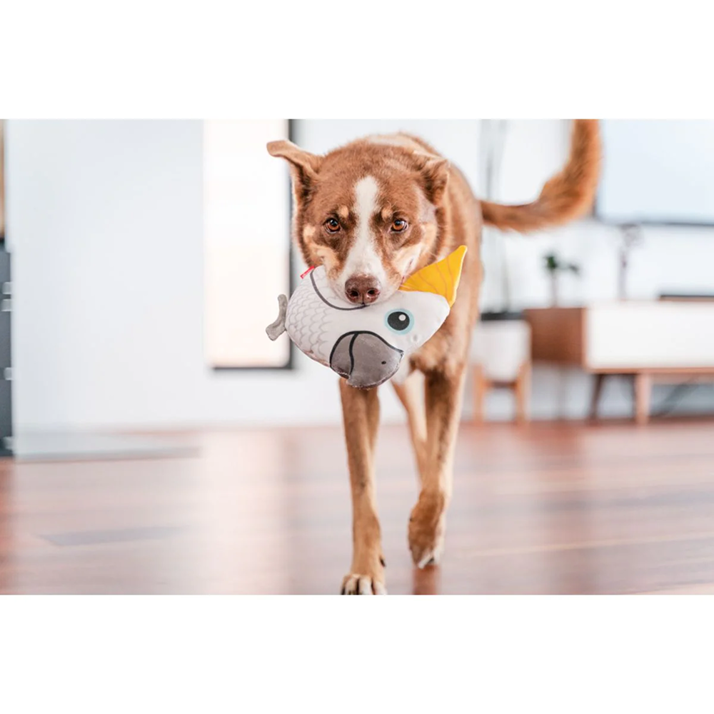 Red Dingo Durables Cockatoo Fetch Toy For Dogs (White) Dogs-Toys Red Dingo Dropship