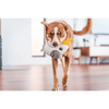 Red Dingo Durables Cockatoo Fetch Toy For Dogs (White) Dogs-Toys Red Dingo Dropship