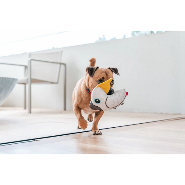 Red Dingo Durables Cockatoo Fetch Toy For Dogs (White)