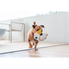 Red Dingo Durables Cockatoo Fetch Toy For Dogs (White) Dogs-Toys Red Dingo Dropship