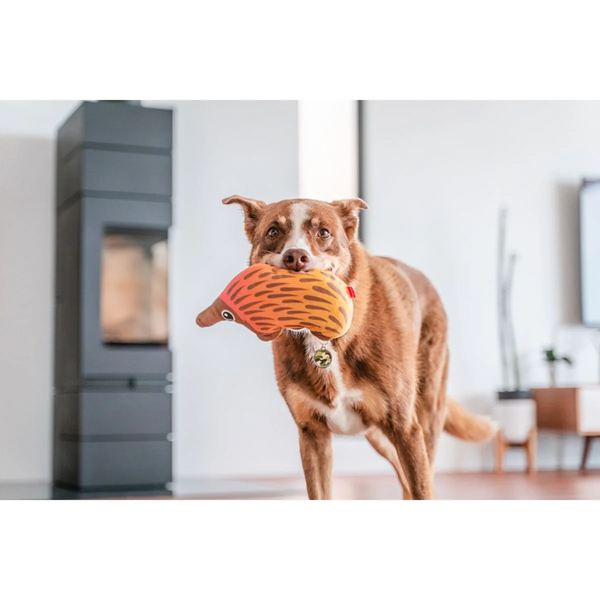 Red Dingo Durables Echidna Fetch Toy For Dogs (Brown)