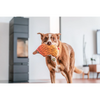 Red Dingo Durables Echidna Fetch Toy For Dogs (Brown) Dogs-Toys Red Dingo Dropship