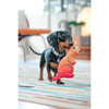 Red Dingo Durables Kangaroo Fetch Toy For Dogs (Orange) Dogs-Toys Red Dingo Dropship