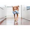Red Dingo Durables Koala Fetch Toy For Dogs (Grey)