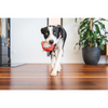 Red Dingo Durables Monkey Ball Toy For Dogs (Red) Dogs-Toys Red Dingo Dropship