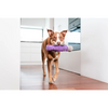 Red Dingo Durables Platypus Fetch Toy For Dogs (Purple) Dogs-Toys Red Dingo Dropship