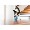Red Dingo Durables Rhino Ball Toy For Dogs (Blue) Dogs-Toys Red Dingo Dropship