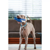 Red Dingo Durables Shark Fetch Toy For Dogs (Dark Blue) Dogs-Toys Red Dingo Dropship