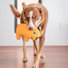 Red Dingo Durables Wombat Fetch Toy For Dogs (Yellow) Dogs-Toys Red Dingo Dropship