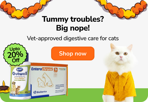 digestive_care_cats.webp__PID:6e33bb1f-43ba-4623-b3ed-d7fe4b5b89a2